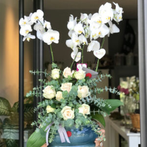 orkide çiçeği izmir çiçekçilik sitesi
